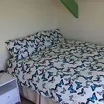 The Green House Surf Lodge